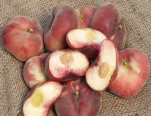 Peach, SAUZEE SWIRL (Donut) (cl)