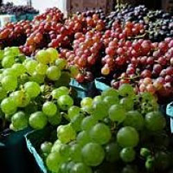 Deciduous: Grapes