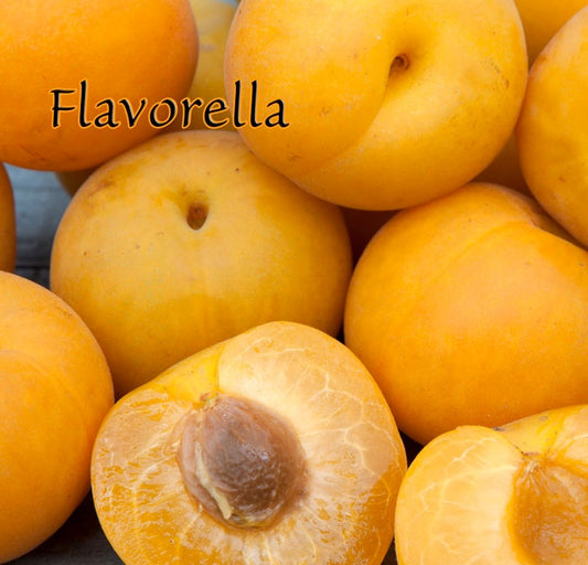 PlumCot, FLAVORELLA (+,E)