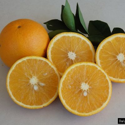 Orange, Early Hamlin