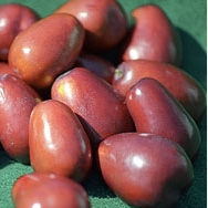 Jujube, LANG (S+)