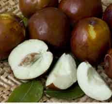 Jujube, LI