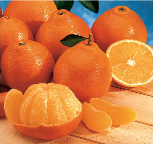 Tangelo, Minneola* (S+)