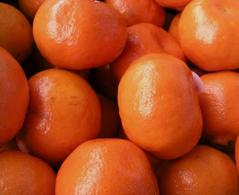 Mandarin, Daisy*