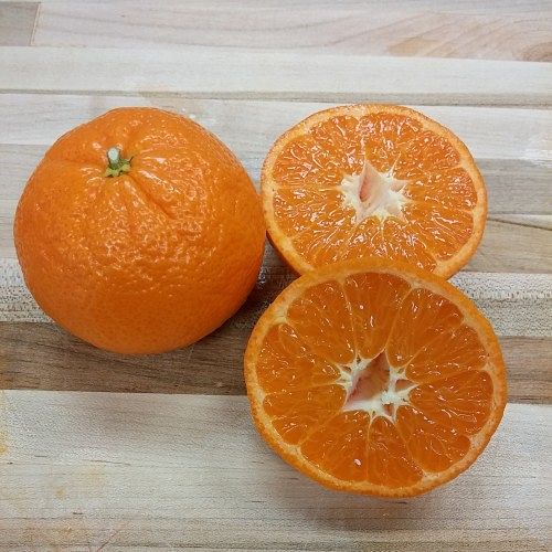 Tangerine, W. Murcott