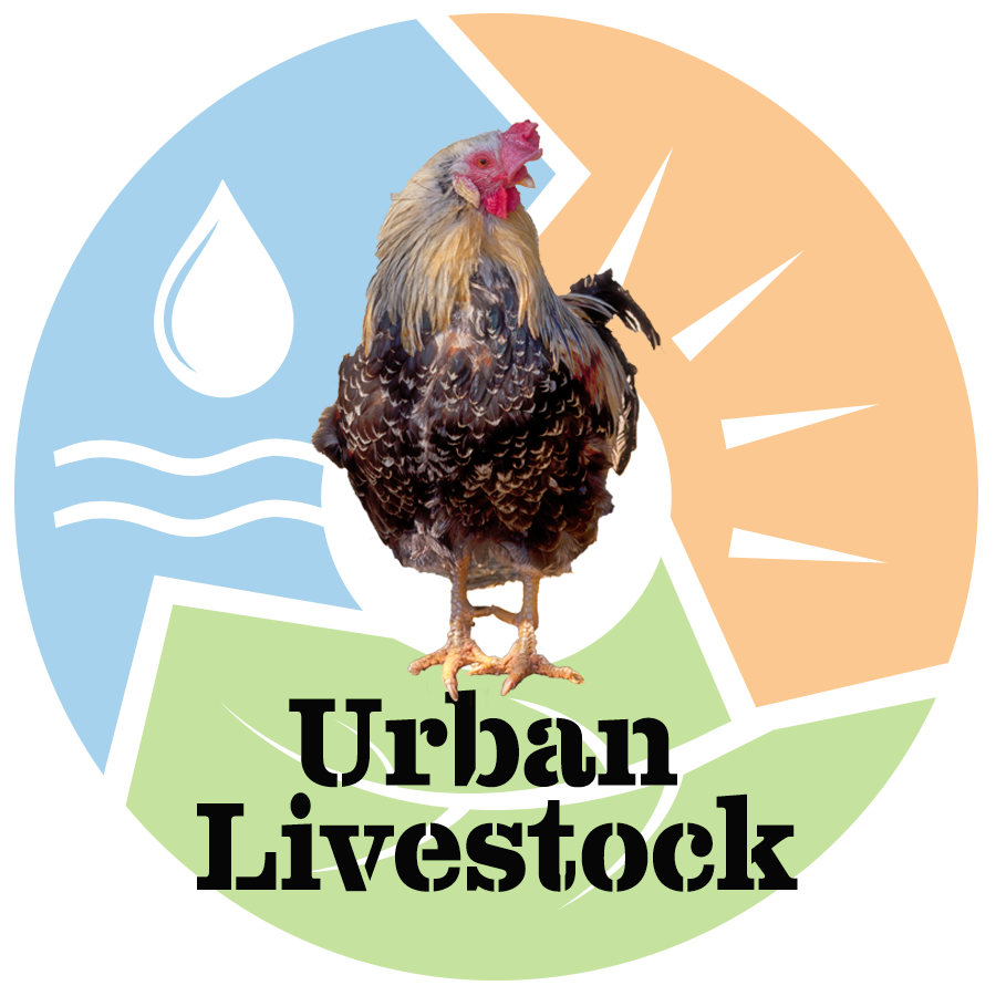 Urban Animals: How to Raise Chickens, Goats, and More in Your Backyard