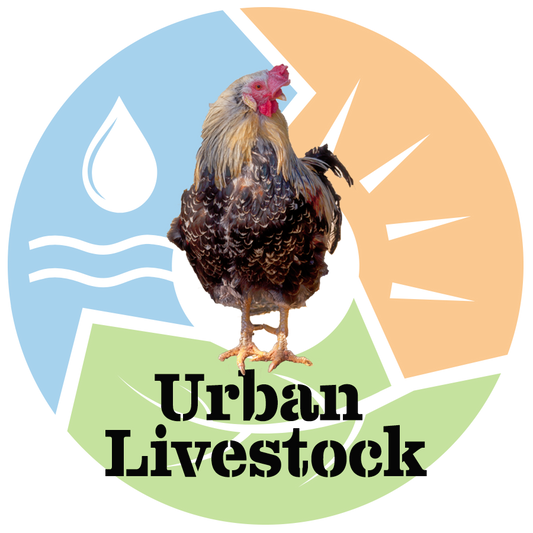 Urban Animals: How to Raise Chickens, Goats, and More in Your Backyard