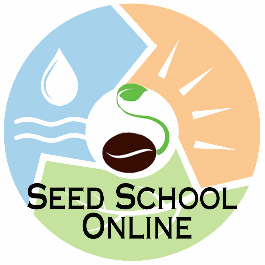 Seed School Online