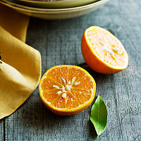 Tangerine, Freemont