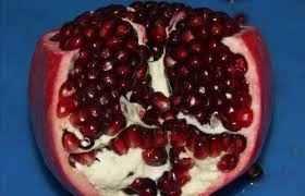 Pomegranate, ARIANA