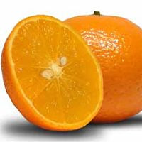 Mandarin, Kinnow