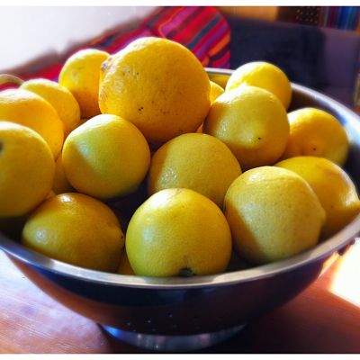 Lime, Palestine Sweet