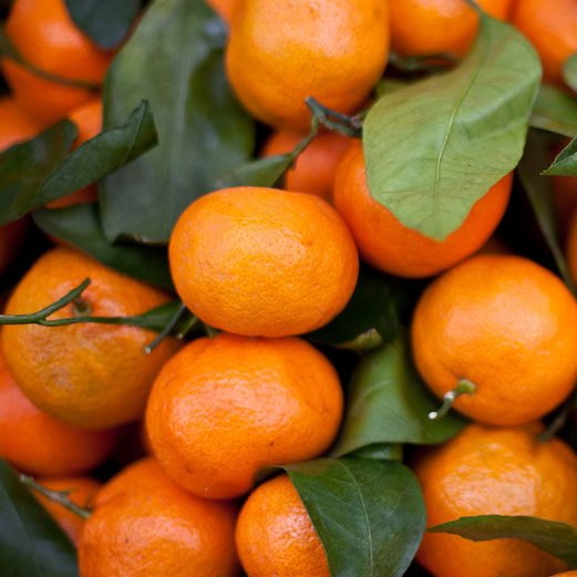 Tangerine, Freemont