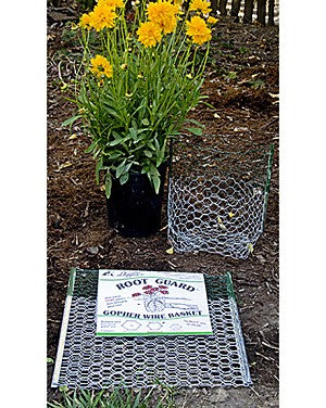 Gopher Basket, LARGE