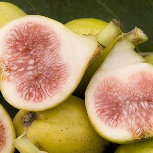 Fig, PETER'S HONEY