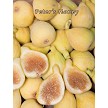 Fig, PETER'S HONEY