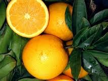 Orange, Olinda Valencia